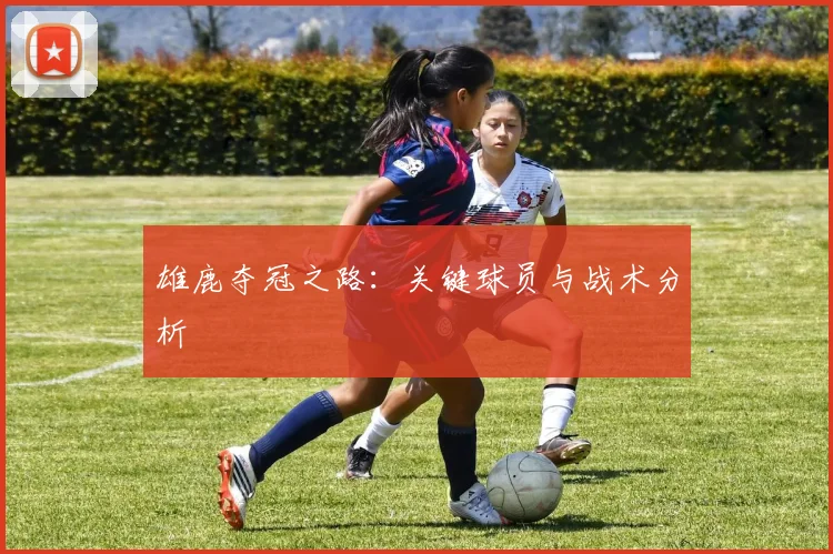 雄鹿夺冠之路：关键球员与战术分析