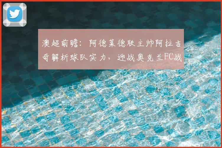 澳超前瞻:阿德莱德联主帅阿拉吉奇解析球队实力,迎战奥克兰FC战术准备